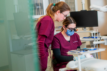 Dental Therapy
