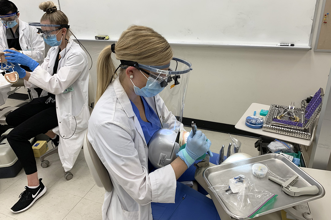 College of Dentistry students work on skill training in the simulation clinic in the Health Sciences Building during the first week of fall term classes at the University of Saskatchewan. (Photo: Walter Siqueira)